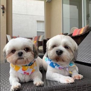 Meet your Posher, Ana sofia